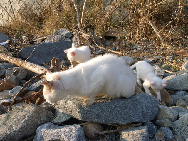 d0073743_20195046.jpg