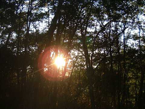 f0090444_2081919.jpg
