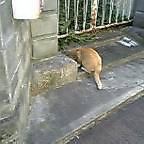 c0073845_18403659.jpg