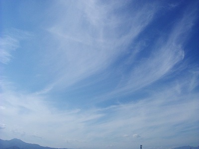 カマキリと秋空_c0095348_20342922.jpg