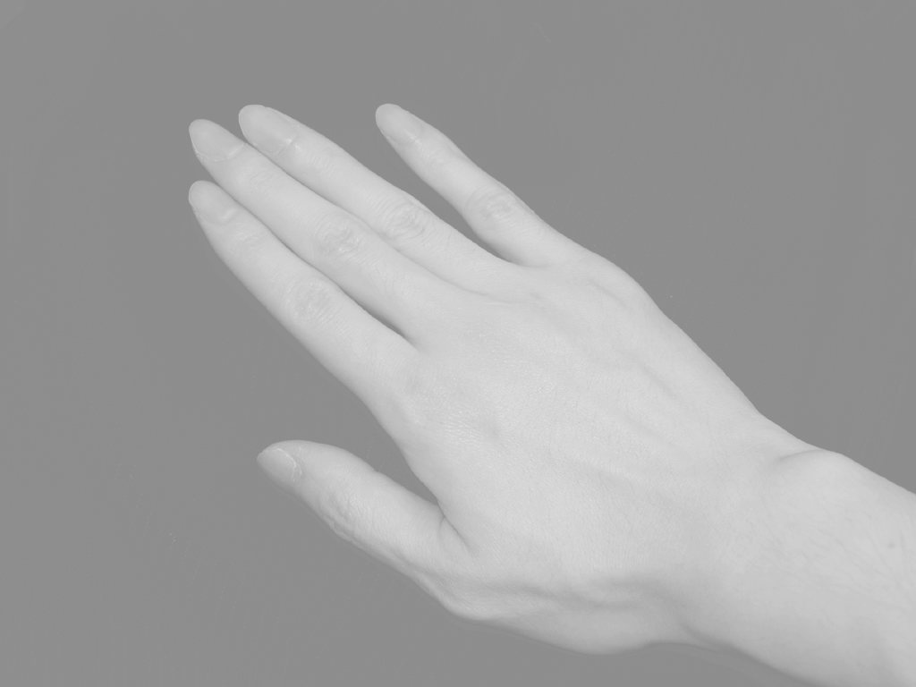 d0070361_1051934.gif