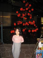 d0044262_6583948.jpg