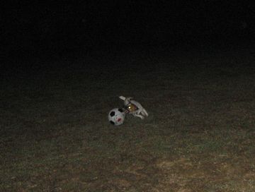 f0100871_22313473.jpg