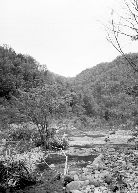 e0100772_22555571.jpg