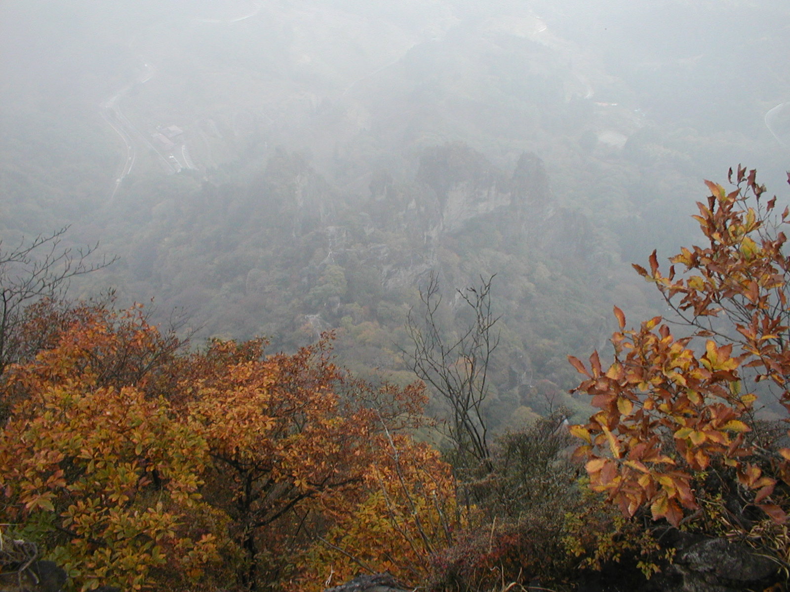 a0094280_22143416.jpg