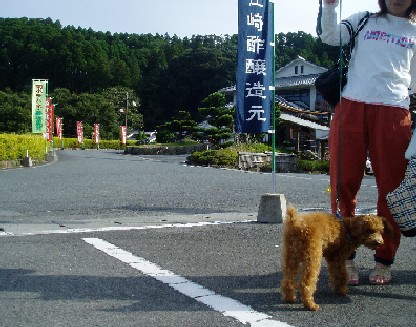 f0061283_12534352.jpg