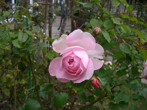 c0078586_23424813.jpg