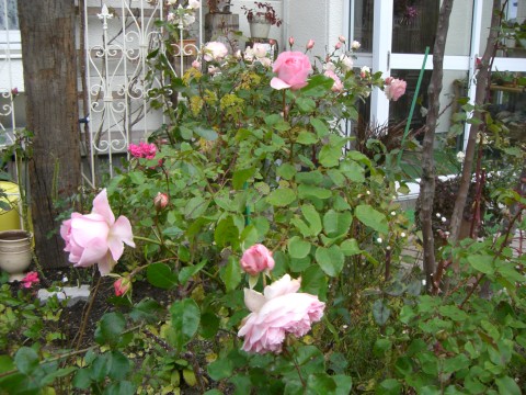 c0078586_23443142.jpg