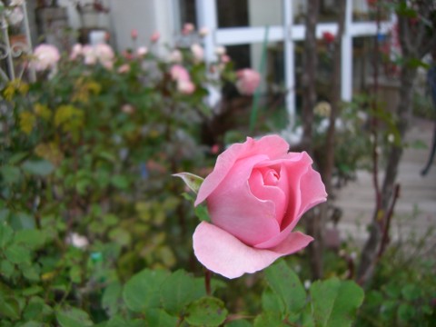 c0078586_23451215.jpg