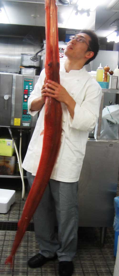 ビックリ とにかくすごい ヤガラ 横浜フレンチ Hanzoya が贈る四季のかほり ビックリ とにかくすごい ヤガラ 横浜フレンチ Hanzoya が贈る四季のかほり