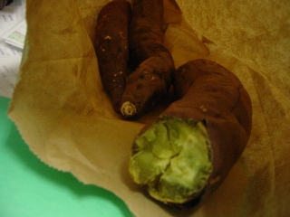 明日から11月。_a0045293_20121682.jpg