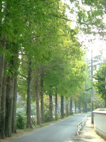 e0064493_17371211.jpg
