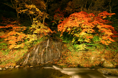 紅葉ライトアップ【1】　中野もみじ山（青森県黒石市）_b0072697_1932914.jpg