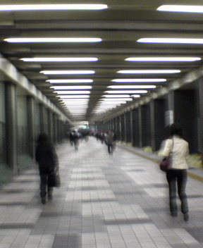 b0054498_0554010.jpg