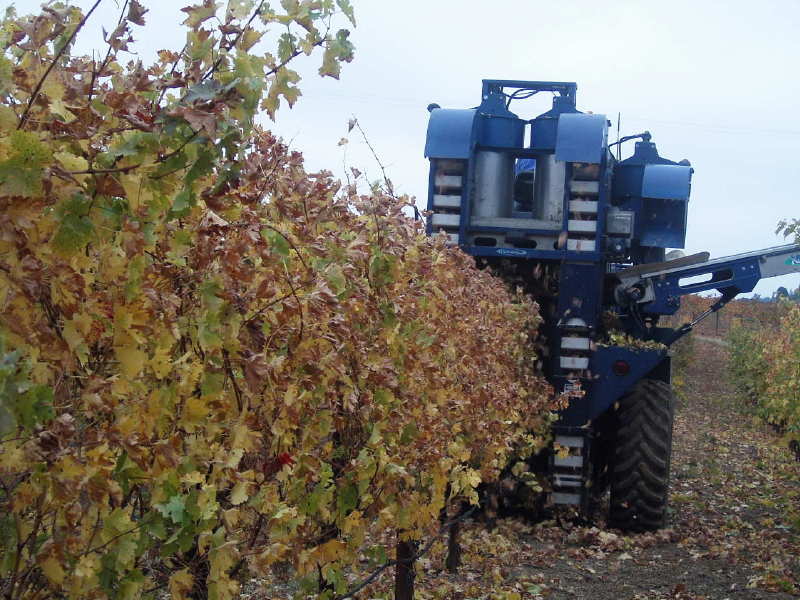 Machine Harvest_f0007498_5362342.jpg