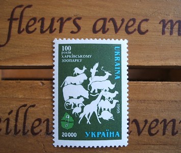 d0016003_1612423.jpg