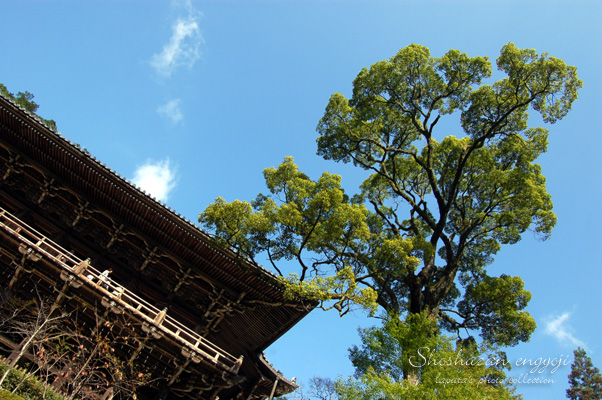 書写山・円教寺へ_b0026904_22584896.jpg