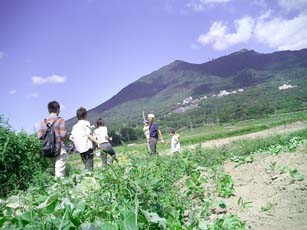 d0090104_3225141.jpg