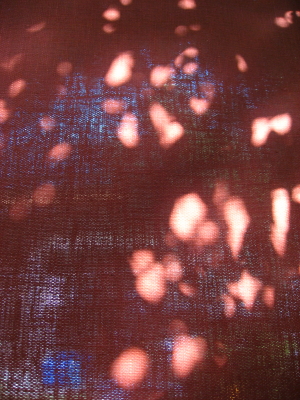光と影_d0047811_20511614.jpg