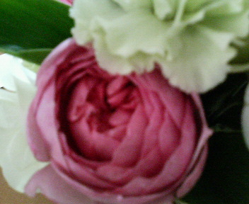 e0049015_10251892.jpg