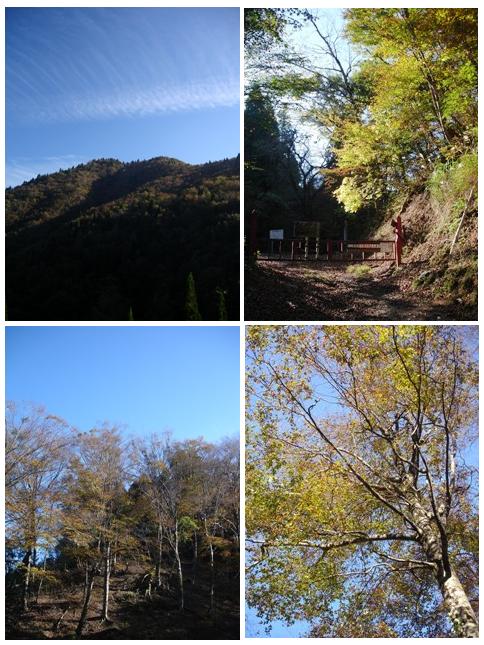 地蔵峠附近の紅葉_c0044819_16364957.jpg