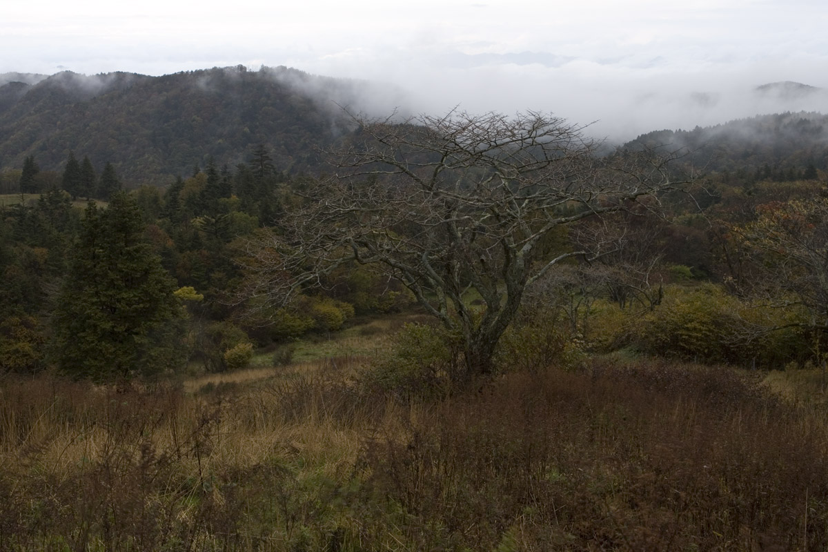 愛知県で一番紅葉の早いところ　～茶臼山高原～_d0073620_224987.jpg