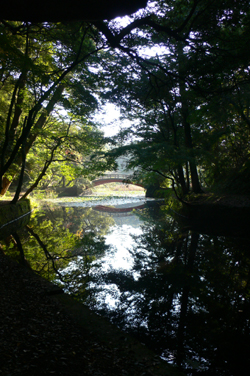 f0060424_23382135.jpg