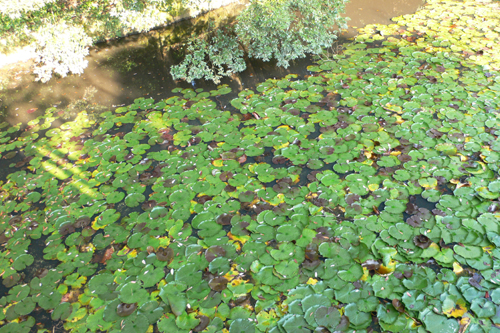 f0060424_2339941.jpg
