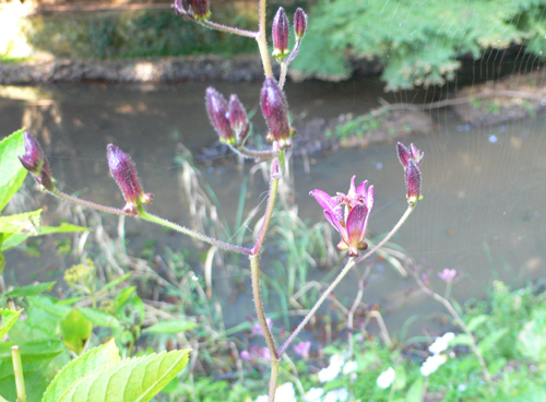 f0060424_23404752.jpg