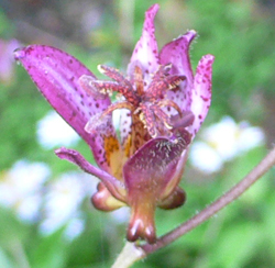 f0060424_23412385.jpg