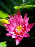c0029037_03936.jpg