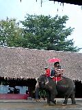 c0029037_03953.jpg