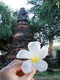 c0029037_083085.jpg