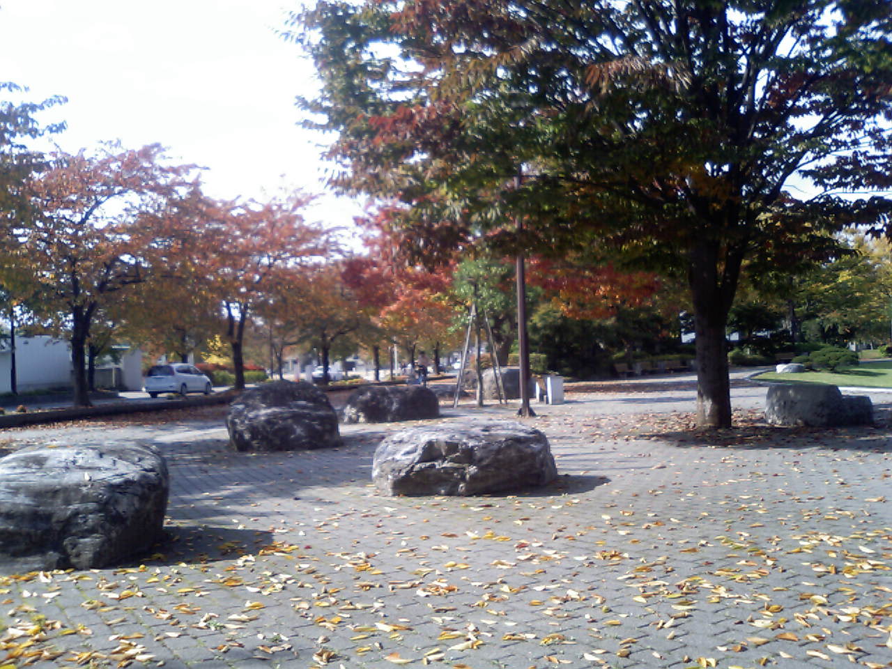 公園の陽だまり_c0097137_17113136.jpg