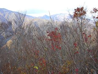 10月２９日（日）倉手山からはっぽうはげ_f0003138_17511995.jpg