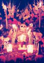 Dia de Muertos_a0074049_14174471.jpg