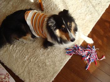 f0046854_20103175.jpg