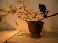 森岡成好さんの個展へ_d0087761_23753.jpg
