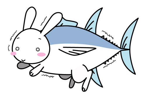 まぐろうさぎ・・・?(-\"-;)_b0083267_1915747.jpg