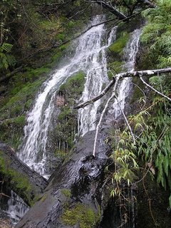c0103368_27594.jpg