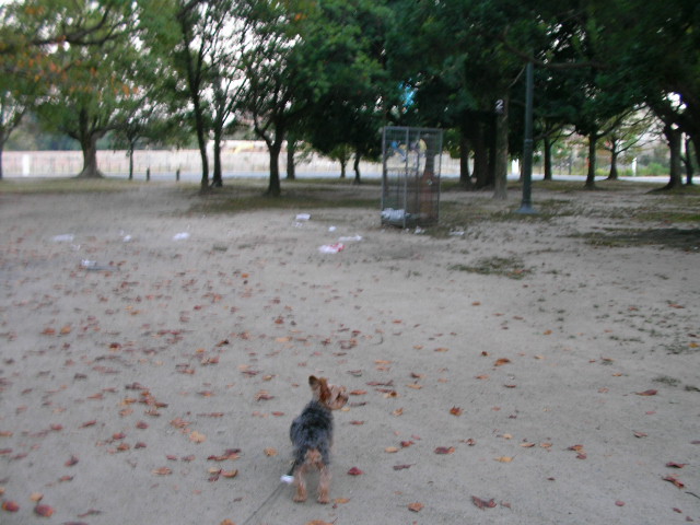 2006/10/14（土）　マルちんと舞鶴公園_b0097394_151507.jpg