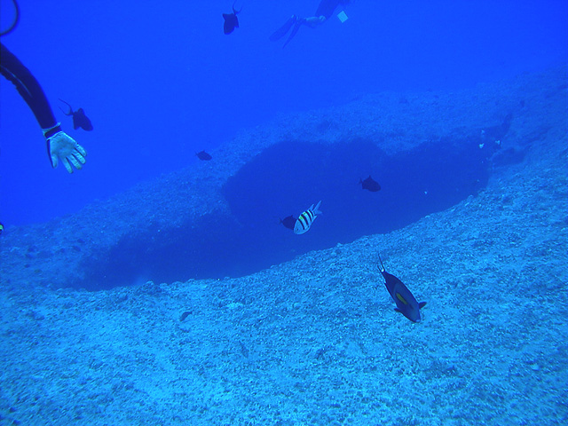 a0071507_234111.jpg