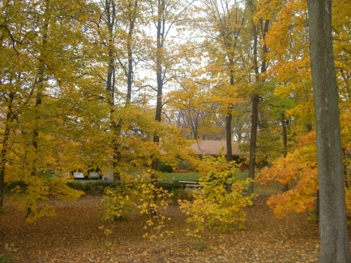 b0011412_13145570.jpg