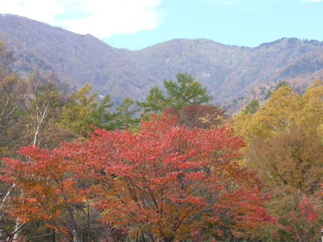 奥日光紅葉狩り（最終回）_e0034313_8114939.jpg