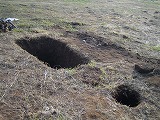 b0026615_13504598.jpg