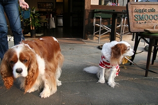 b0072515_0271576.jpg