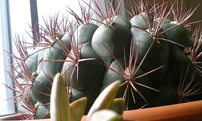 b0097729_235447.jpg