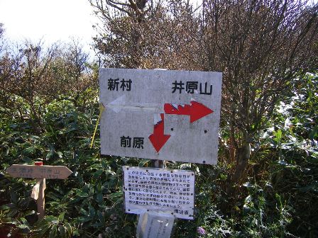 f0000330_035376.jpg