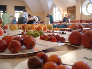 e0074833_23343226.jpg