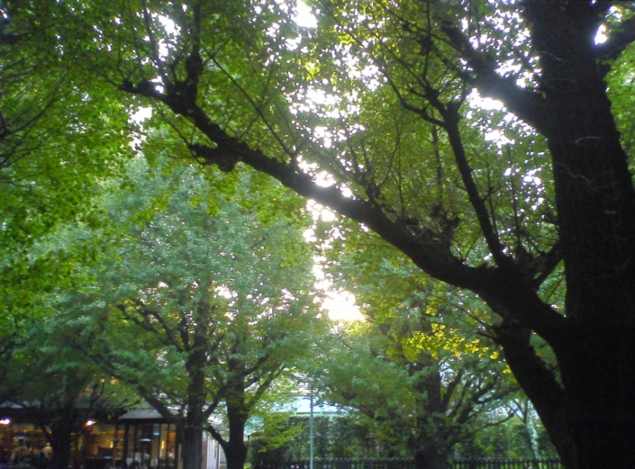 a0072337_14114415.jpg